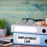 Employment7 Employment7