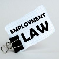 EmploymentLaw2